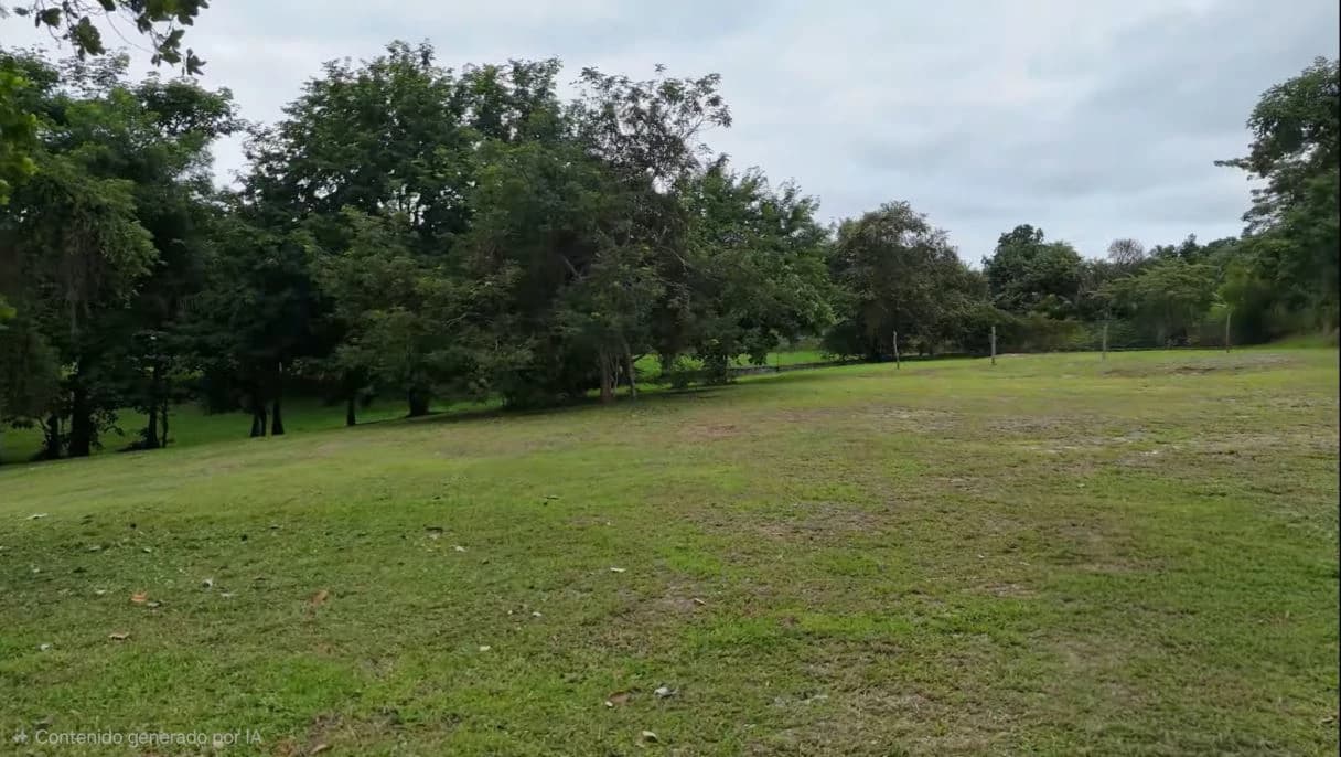 LAND FOR SALE IN SAN CARLOS LAS UVAS - photo 7
