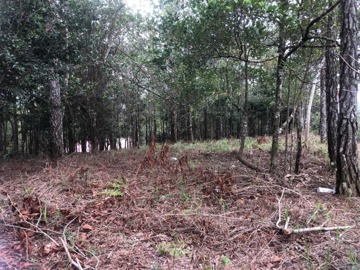 "Great Opportunity! Land in Altos de Cerro Azul" - photo 3