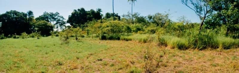 2.66-Hectare Land for Sale in Bejuco, Chame Panama Oeste – Ideal for Residential or Country Development - photo 10