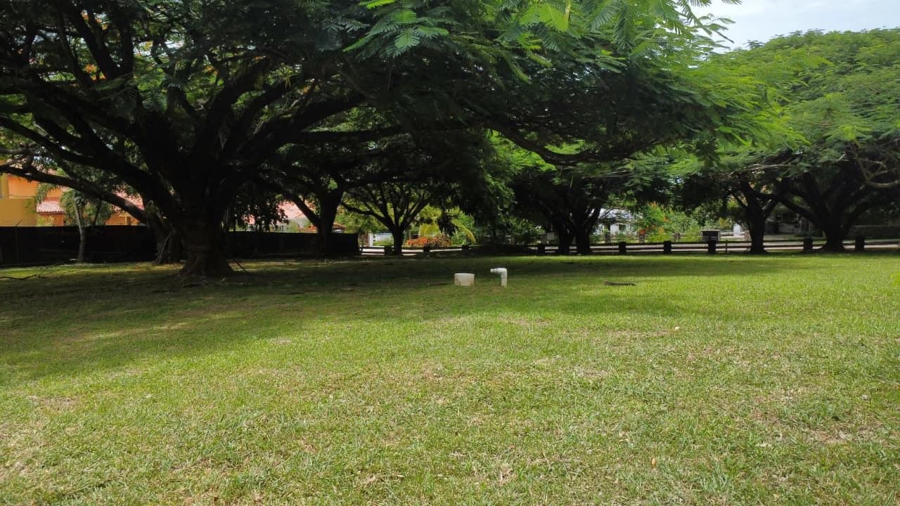 Land for Sale in PH Punta Barco Village – San Carlos, Panama West - photo 5