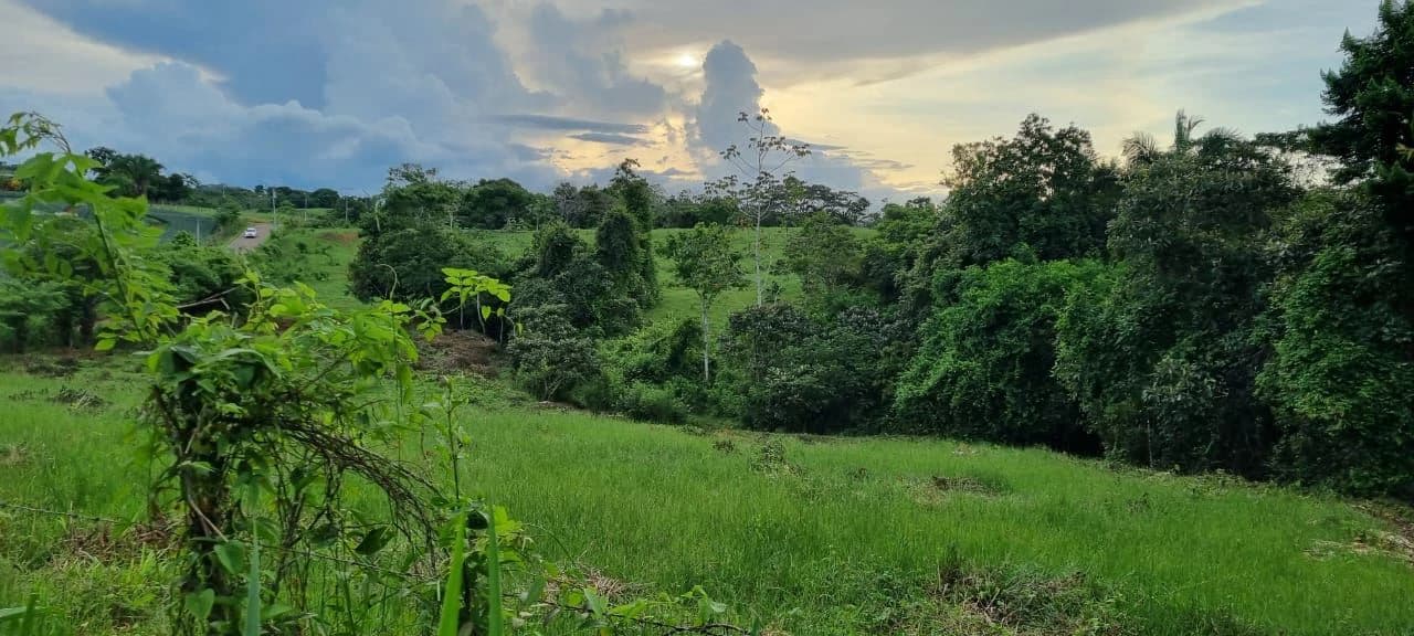 SALE OF LAND IN CHORRERA - LAS YAYAS ADENTRO (7.5 HECTARES) - photo 7