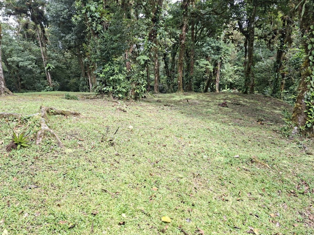 FOR SALE – Mountain Land in Altos de María, Chame District, Panamá - photo 2