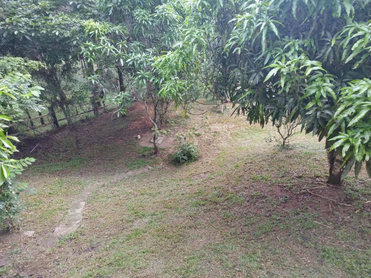 Mountain Home for Sale in Altos de Cerro Azul - photo 11