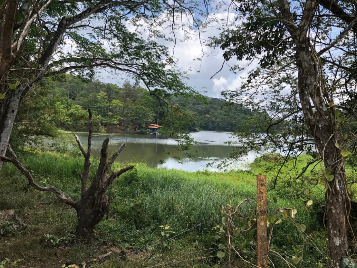 Land for Sale – 23 Hectares Private Paradise in Cerro Azul - photo 6