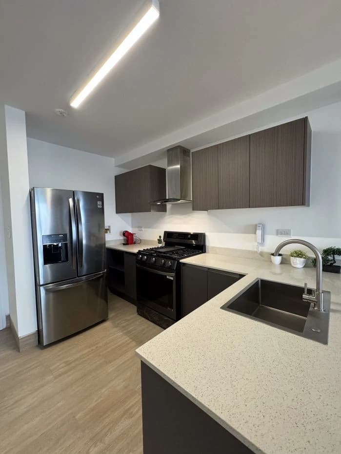Apartments for Sale - PH BALCONY Hato Pintado Panama City - photo 4