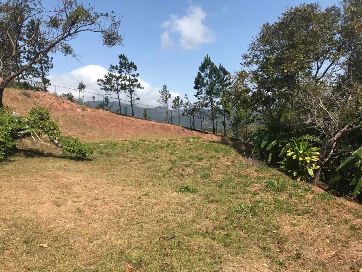 Land for Sale in San Carlos - photo 1