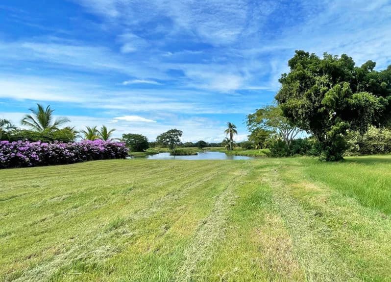 Stunning Land in Buenaventura - photo 1