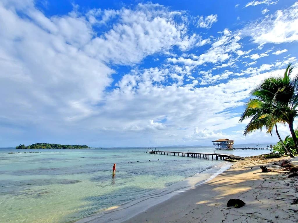 B&B nestled in the jungle of Isla Colon - Bocas del Toro - photo 28