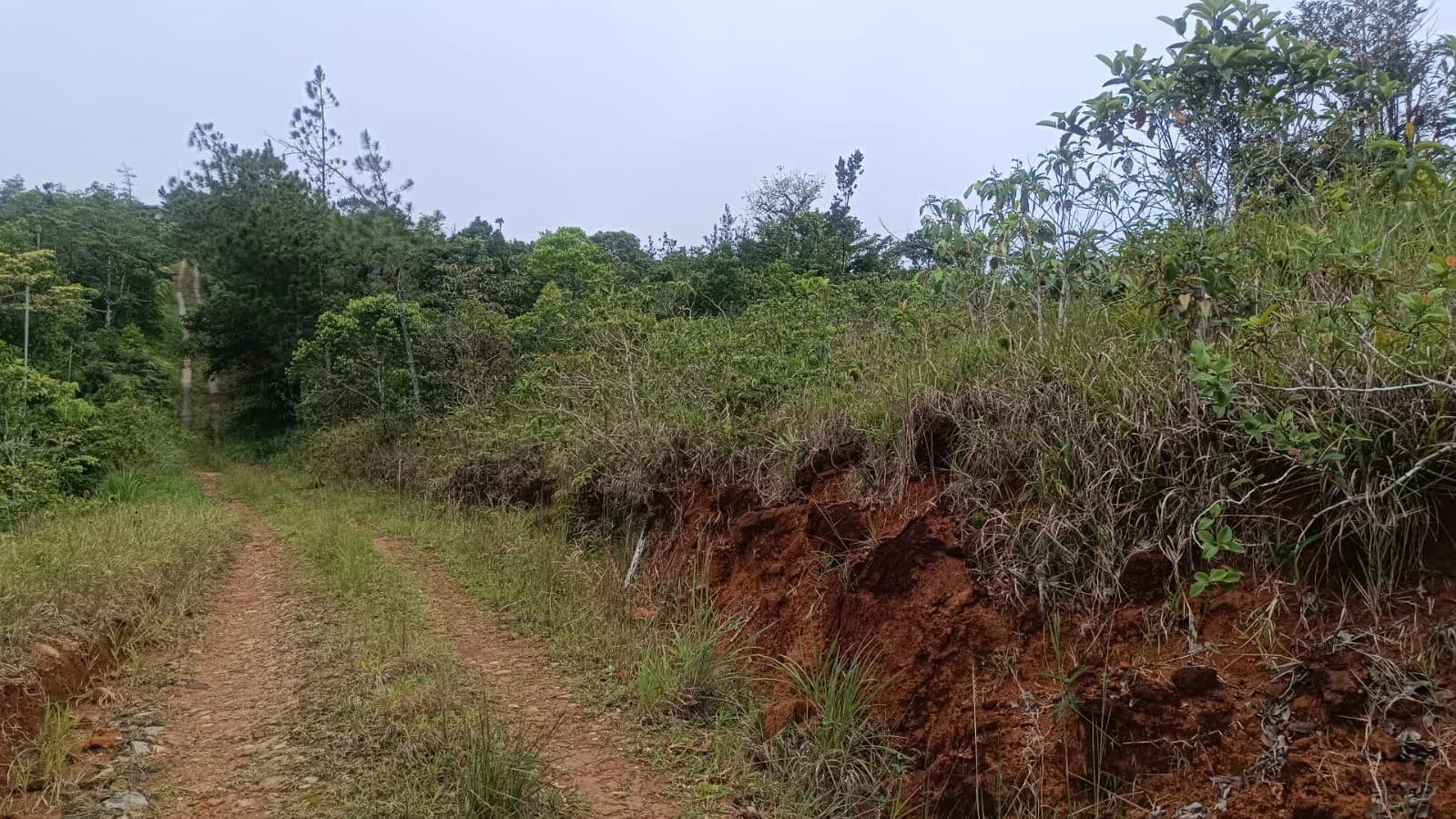 Land for Sale Alto Utivé – Cerro Azul with City and Panama Bay Views - photo 2