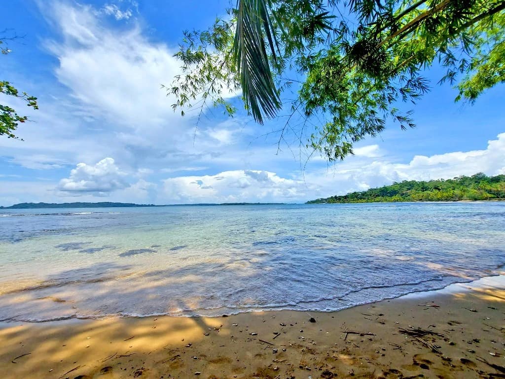 B&B nestled in the jungle of Isla Colon - Bocas del Toro - photo 29