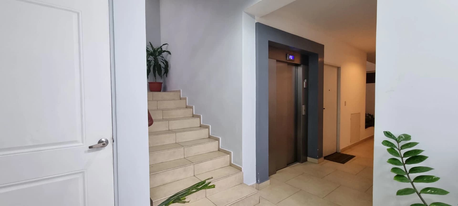 Apartment for sale in Juan Diaz - photo 10