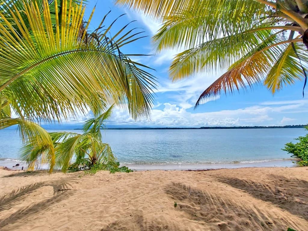 B&B nestled in the jungle of Isla Colon - Bocas del Toro - photo 32