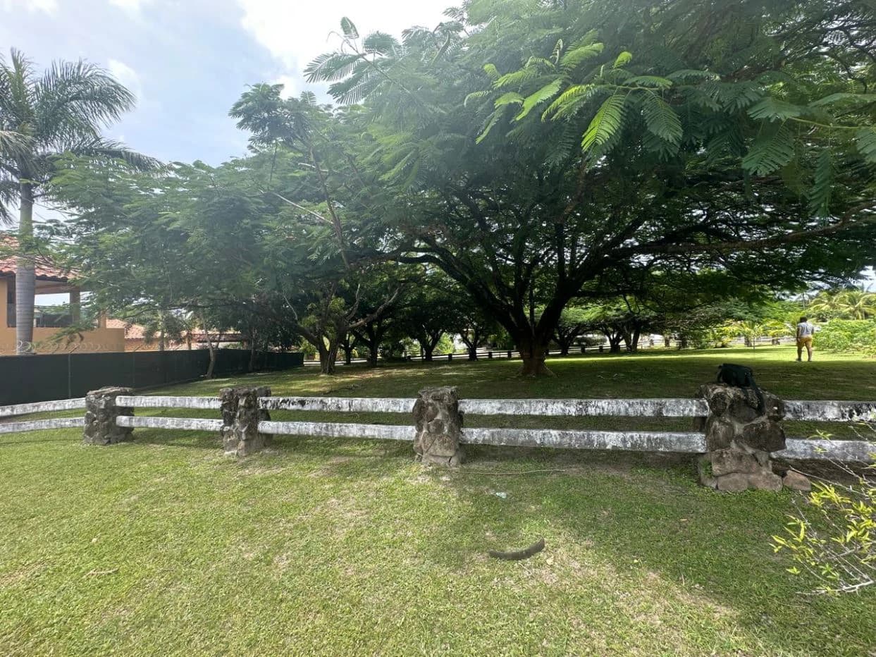 Land for Sale in PH Punta Barco Village – San Carlos, Panama West - photo 10