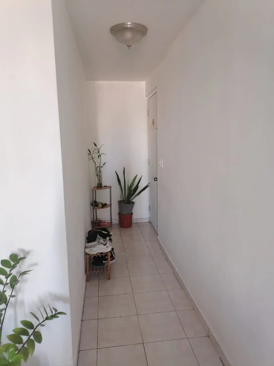 Apartment for Sale in Parque Lefevre - photo 12