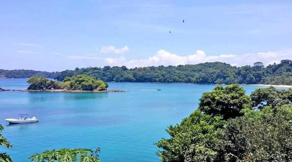 Oceanfront Land on Isla Saboga - photo 1