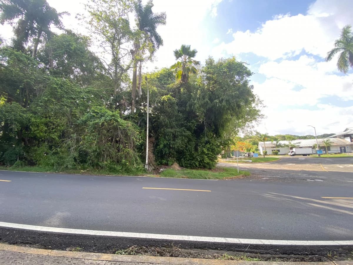 Corner Residential Lot in Diablo | 666 m² | Prime Location - photo 5