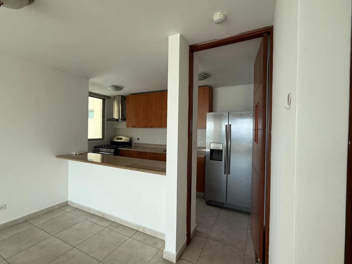 San Francisco, Panama, Terrawind - photo 3