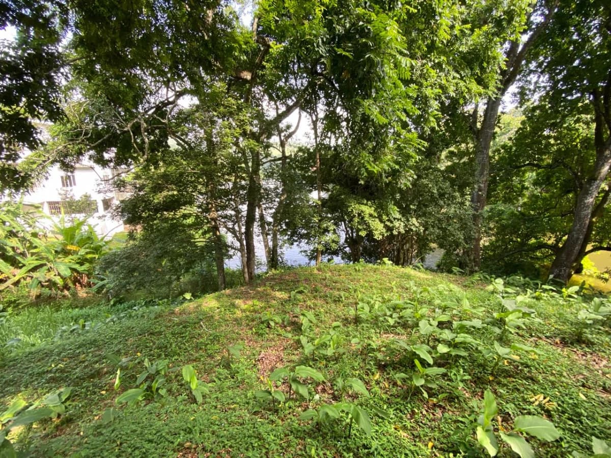 Land for Sale Facing Las Cumbres Lake - photo 3