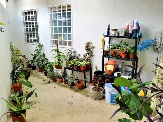 For sale in Residencial Doña Vita, Arraijan - photo 15