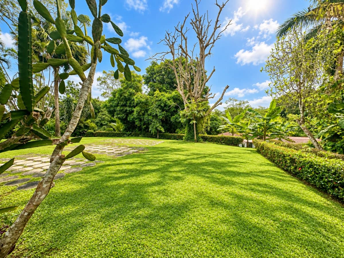 A Hidden Gem in Las Cumbres | 3,433 m², Panoramic Views - photo 21
