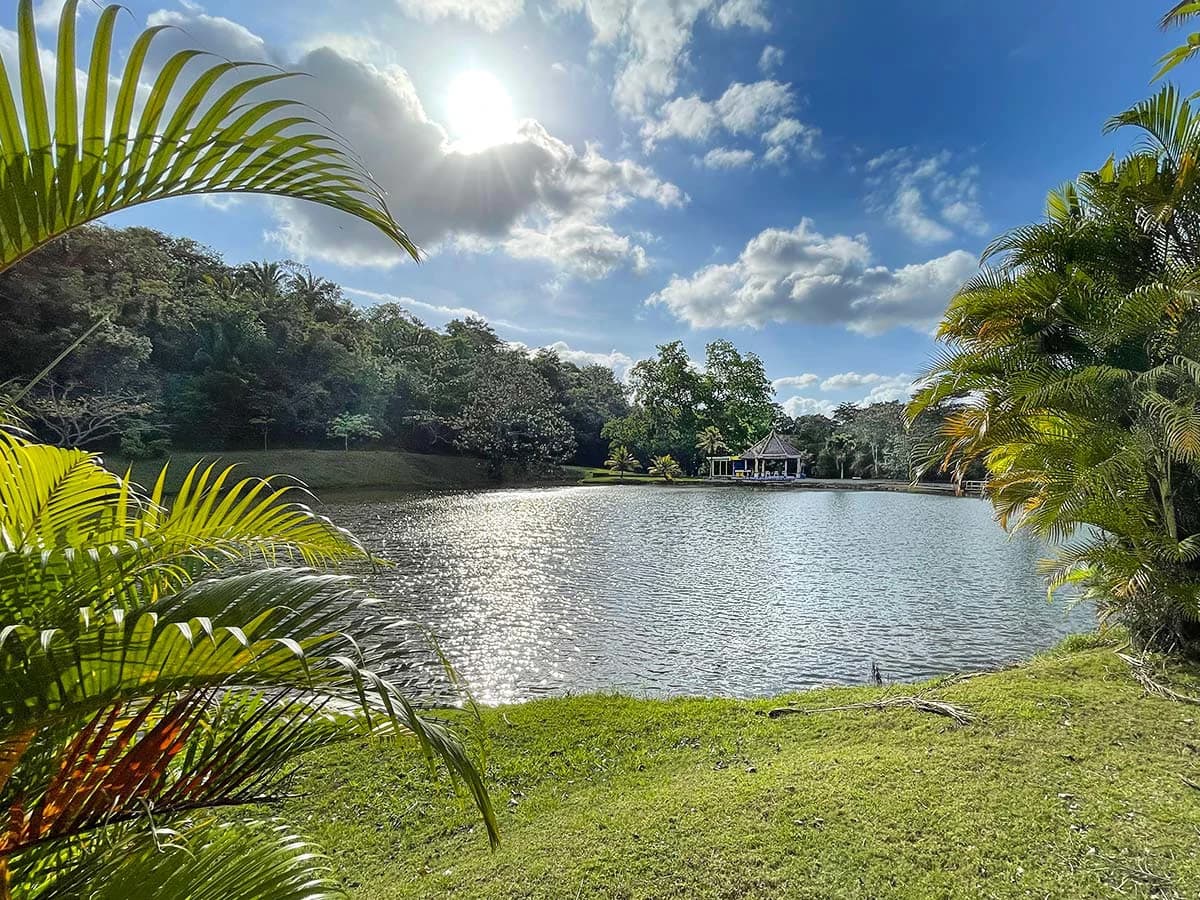 Amazing exotic-wood house 30 minutes from the city, now $285,000. - photo 6