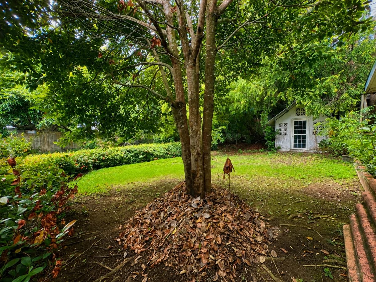 1,556 m² in Las Cumbres for Only $215,000 - photo 5