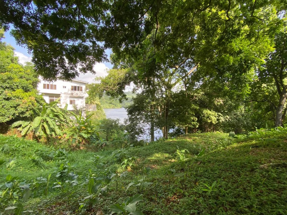 Land for Sale Facing Las Cumbres Lake - photo 4