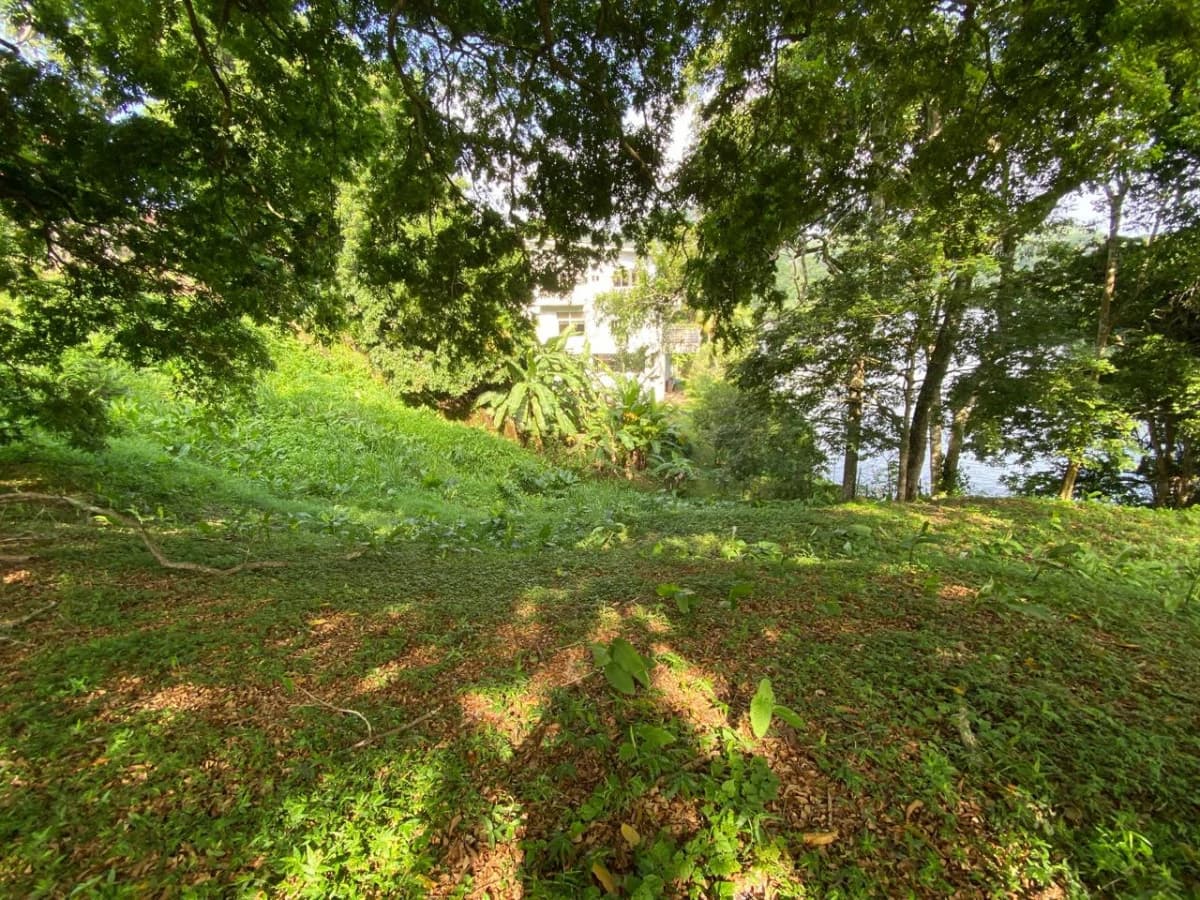 Land for Sale Facing Las Cumbres Lake - photo 6