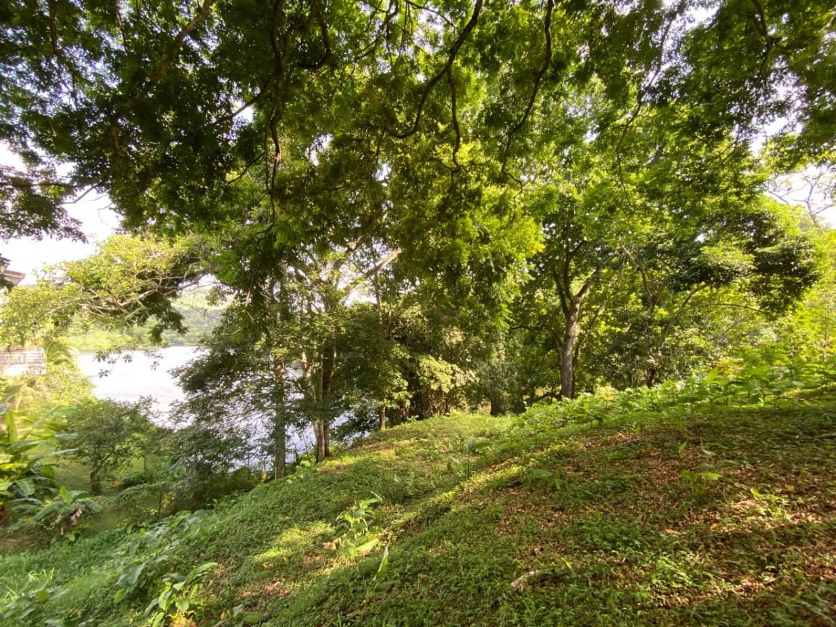 Land for Sale Facing Las Cumbres Lake - photo 2