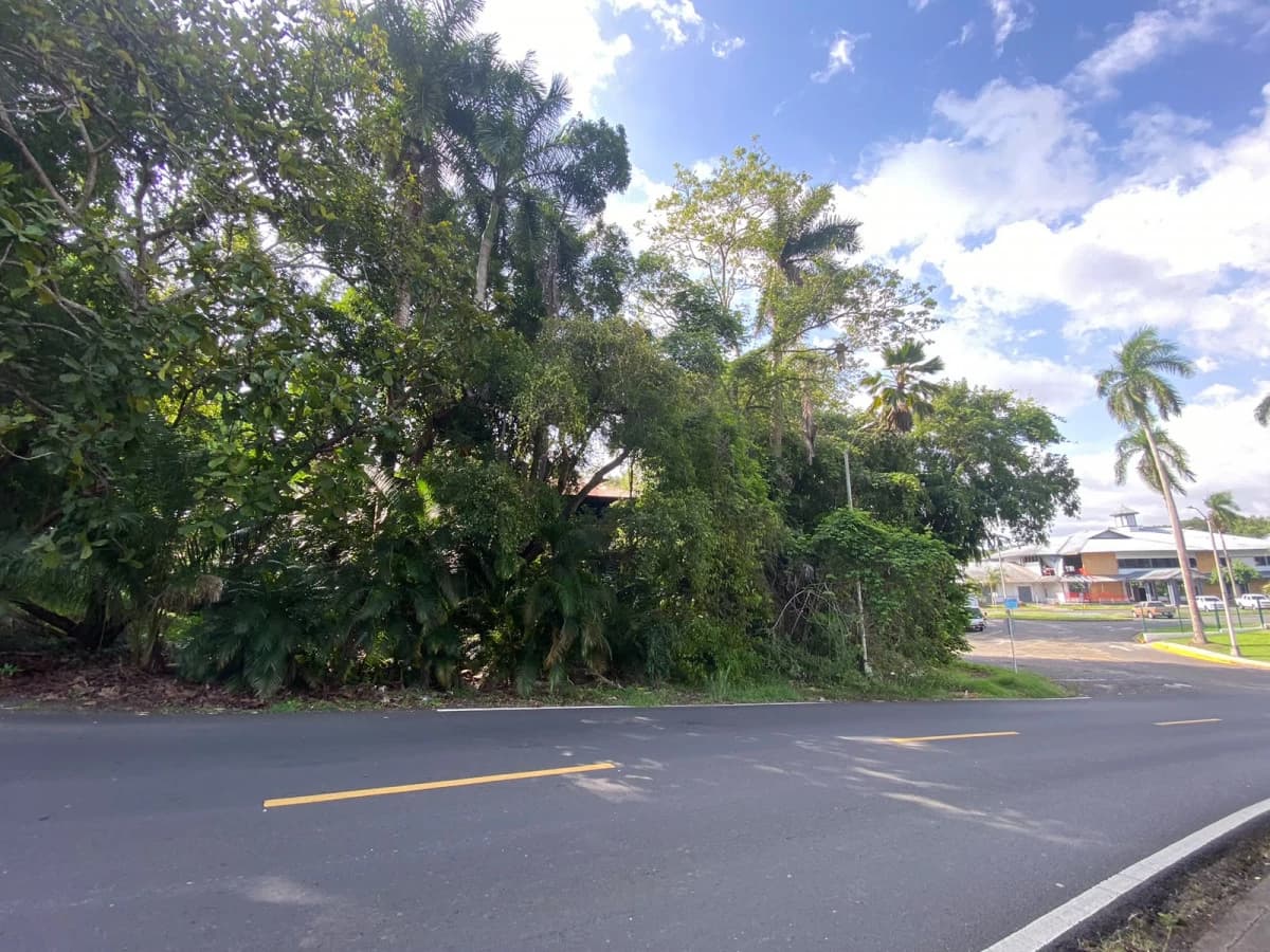 Corner Residential Lot in Diablo | 666 m² | Prime Location - photo 3