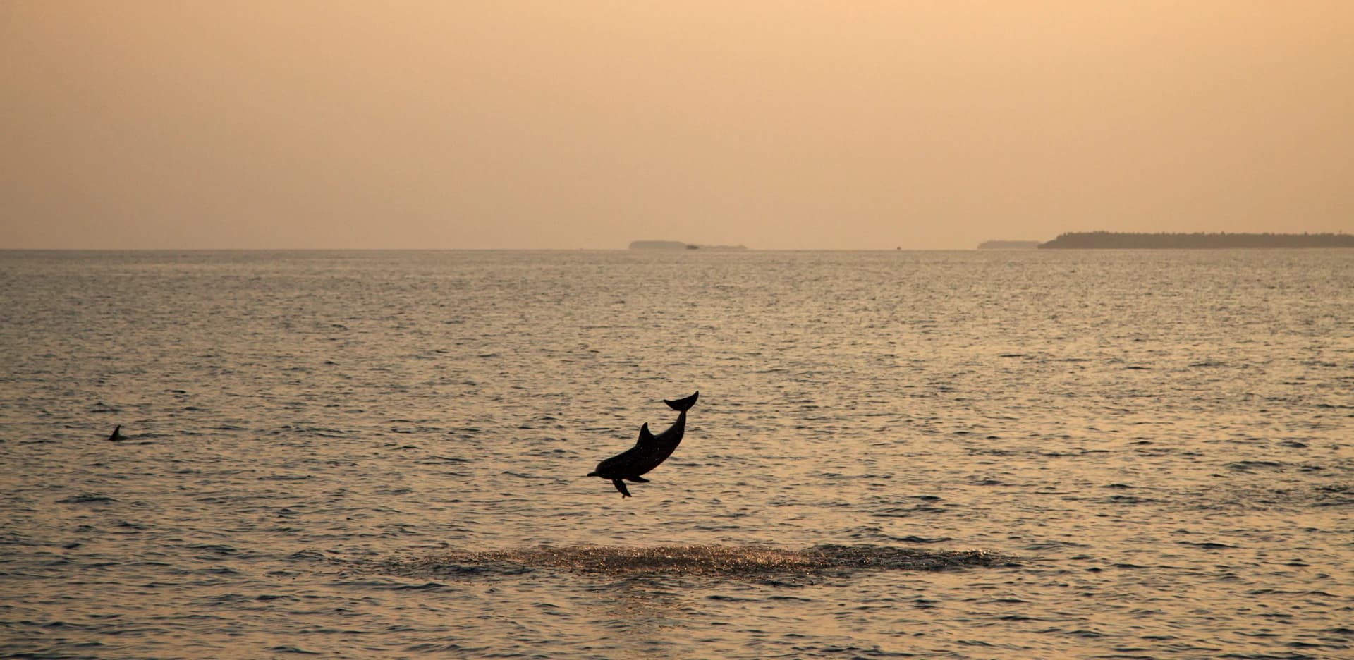 Luxury branded beach villas for sale | Soneva Fushi Maldives - photo 16