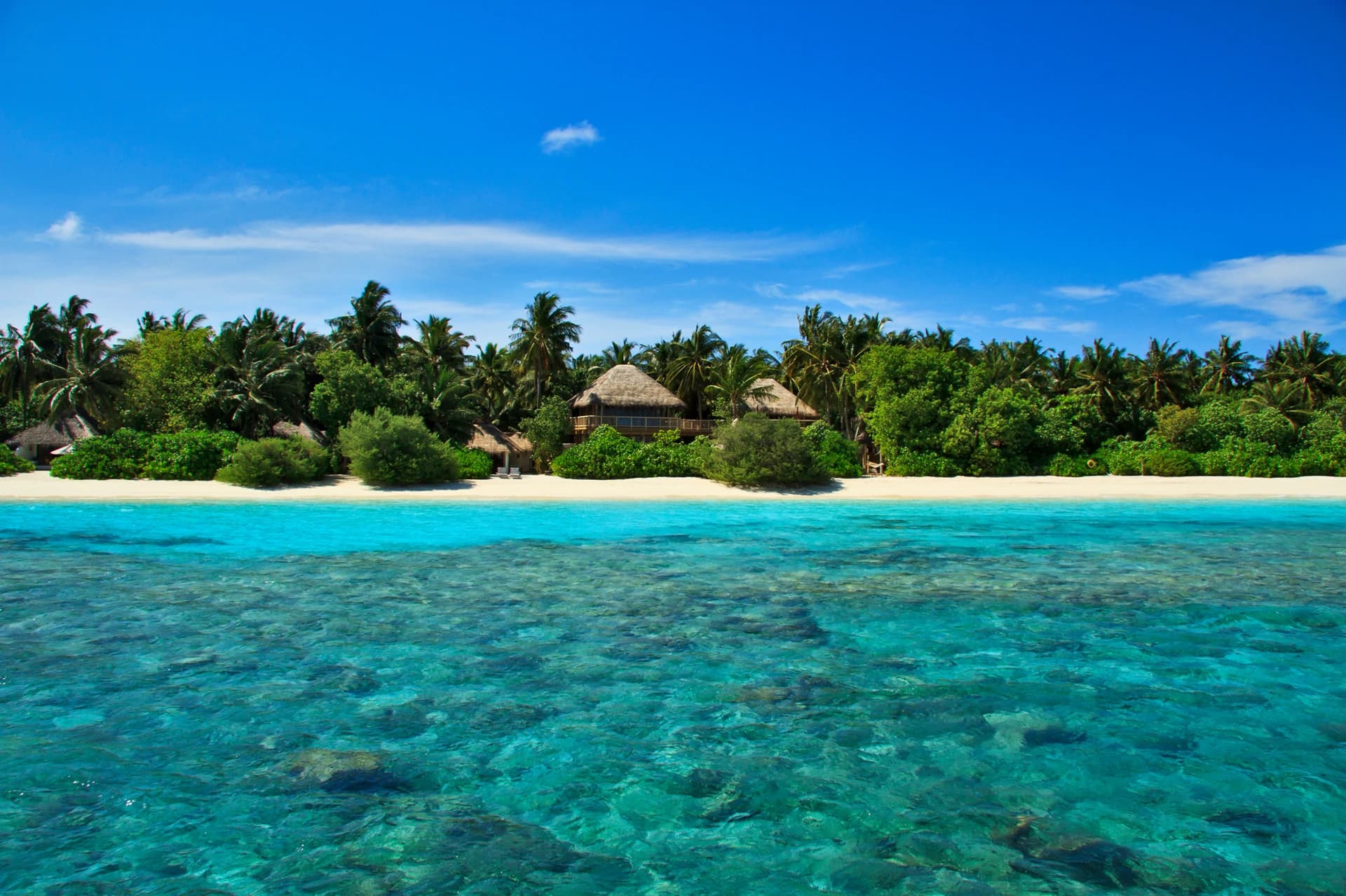 Luxury branded beach villas for sale | Soneva Fushi Maldives - photo 3