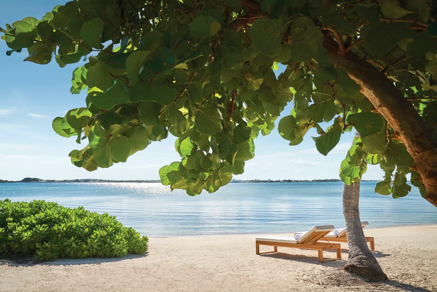 5-6 bed Ocean Estate Lot for sale | Montage Cay, Bahamas - photo 14