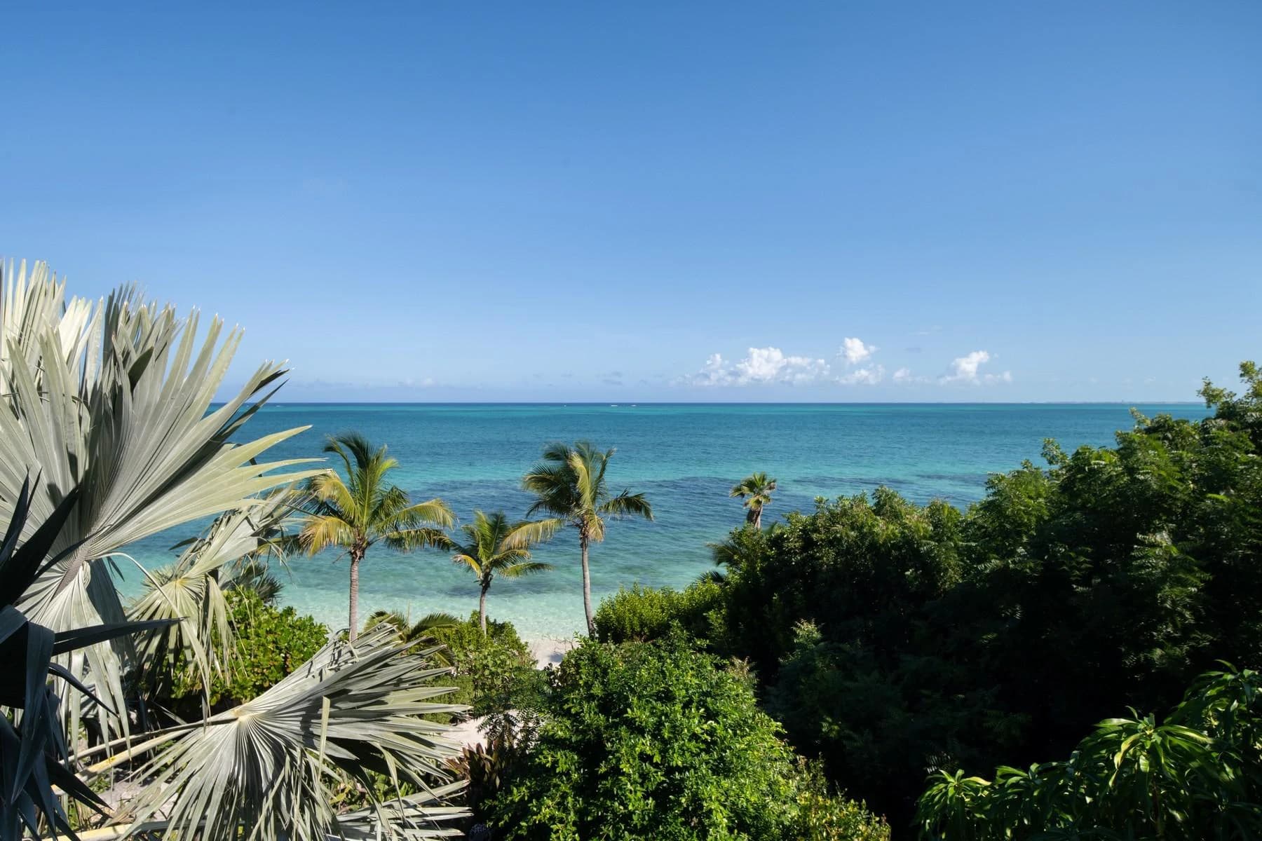 BLUE CAY - Thompson Cove Beachfront - photo 40