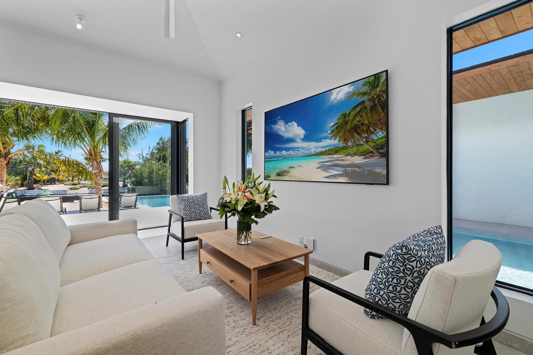 Aqua Solis Villa- Leeward - photo 31