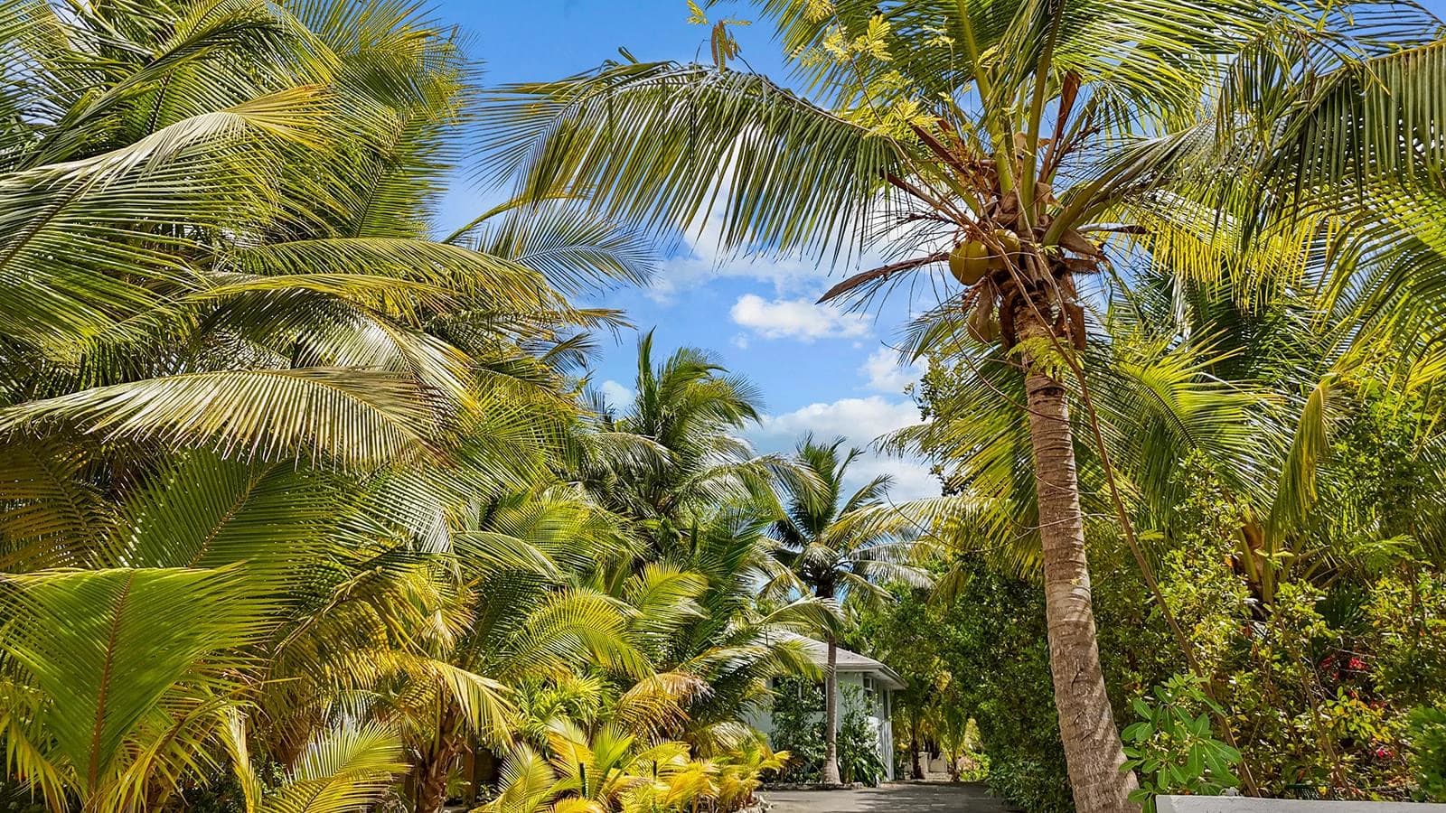 Perfect Leeward Turnkey Property - photo 41