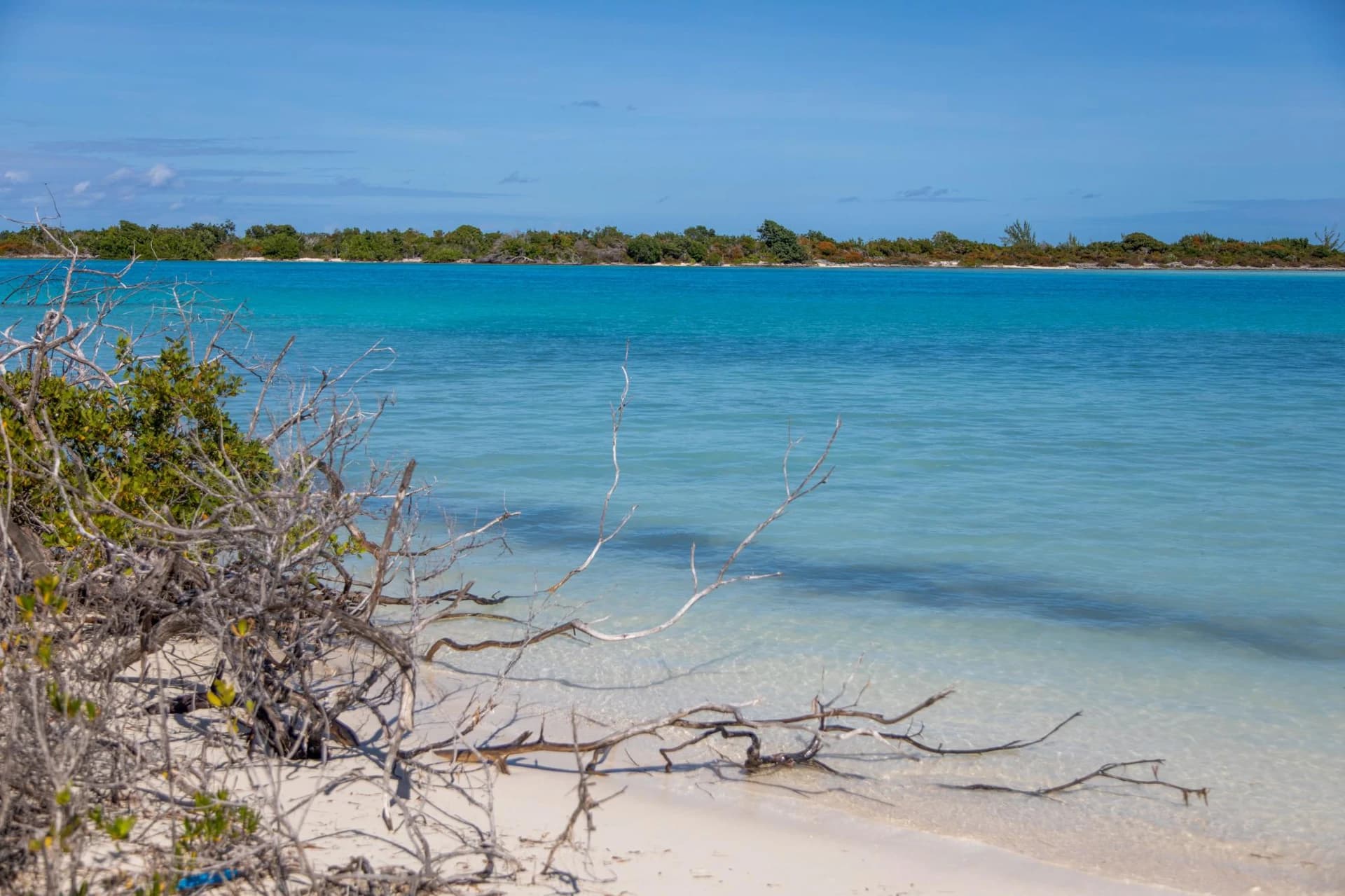 Barracuda Point, Pine Cay - photo 37