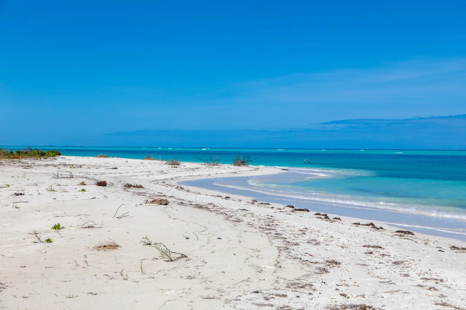 Barracuda Point, Pine Cay - photo 29