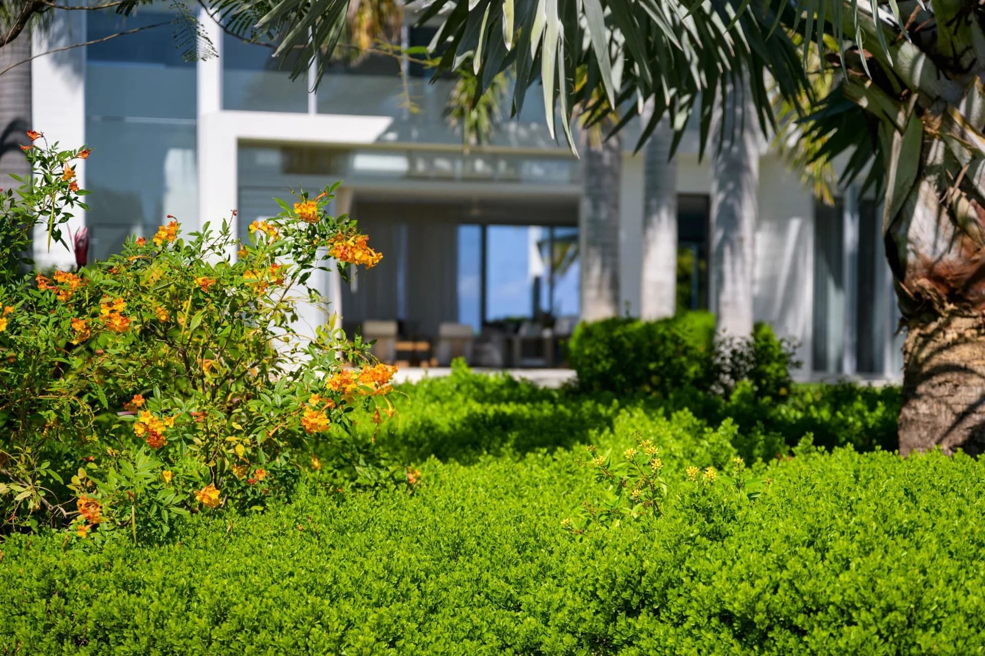 Beach Enclave Grace Bay - Villa 2 - photo 46
