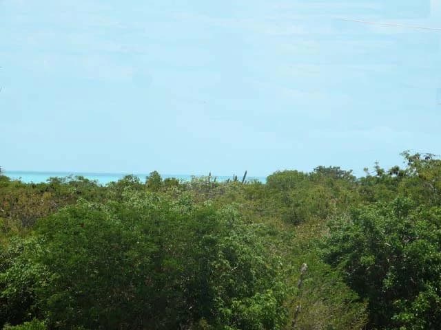 BIRD ROCK STREET - photo 3