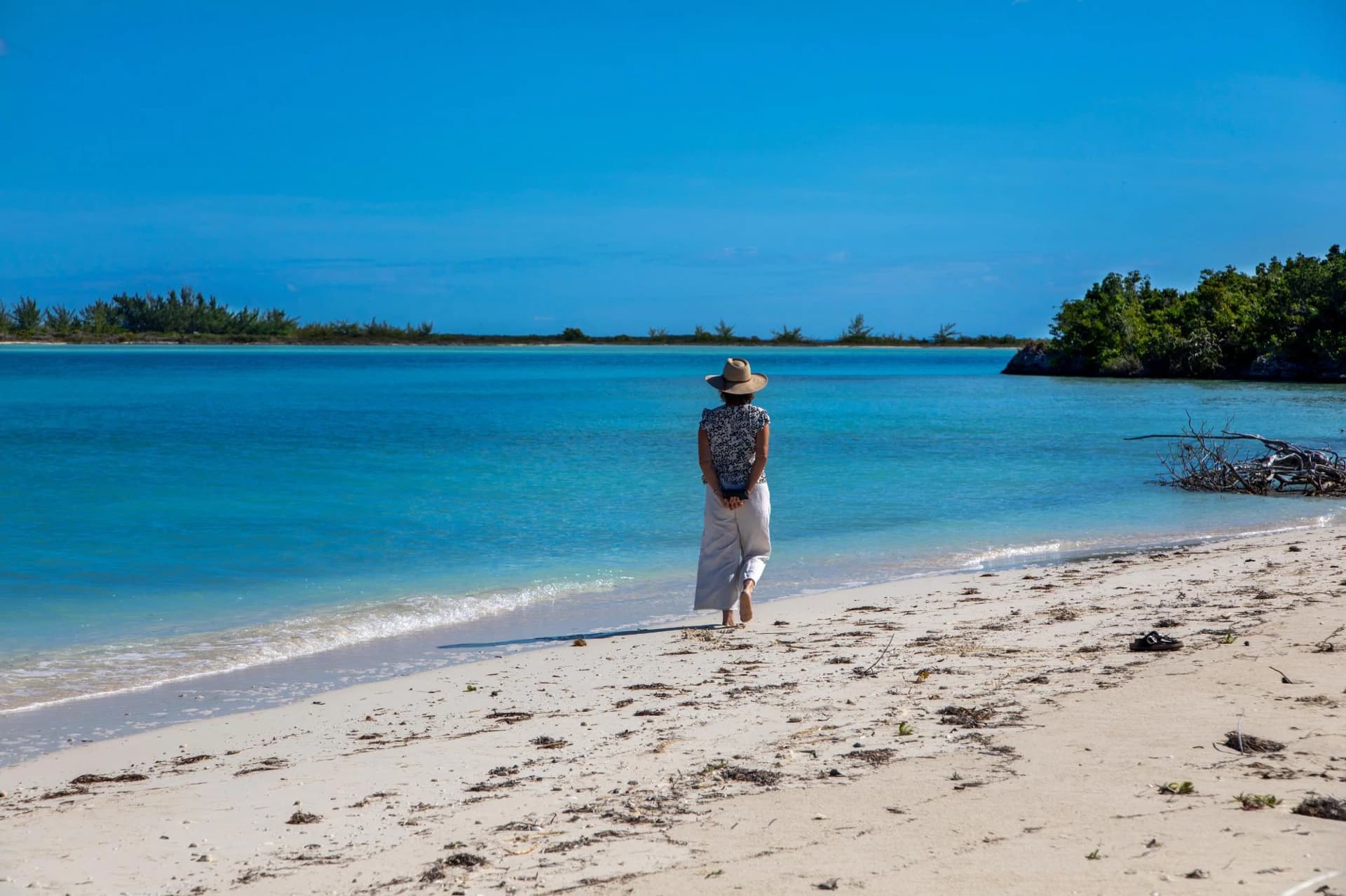 Barracuda Point, Pine Cay - photo 41