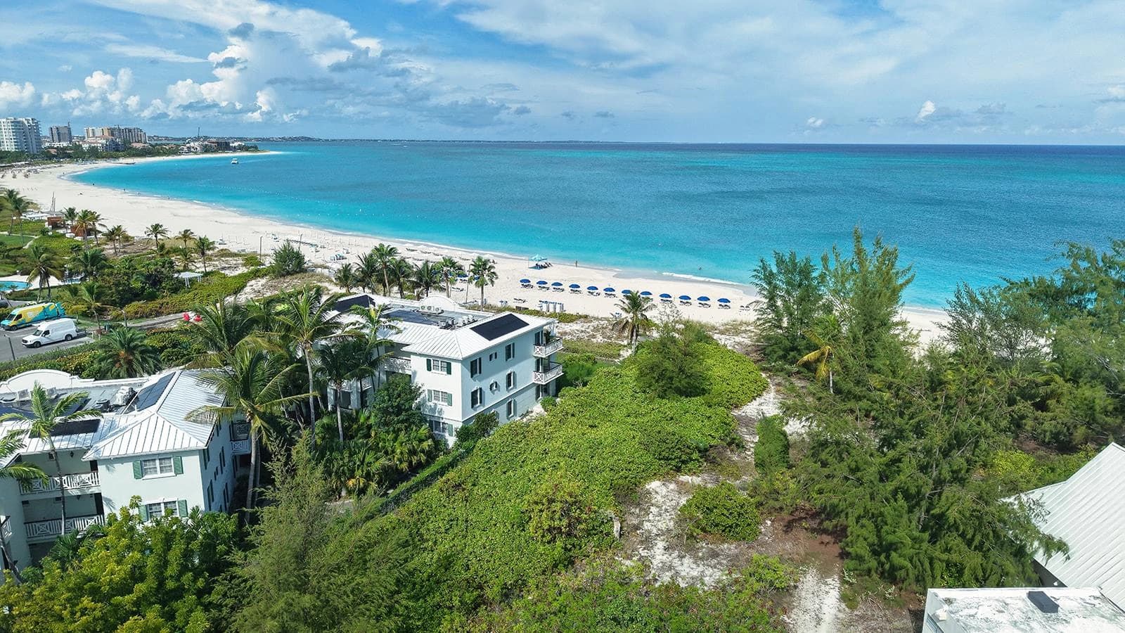 131 Royal West Indies - photo 23