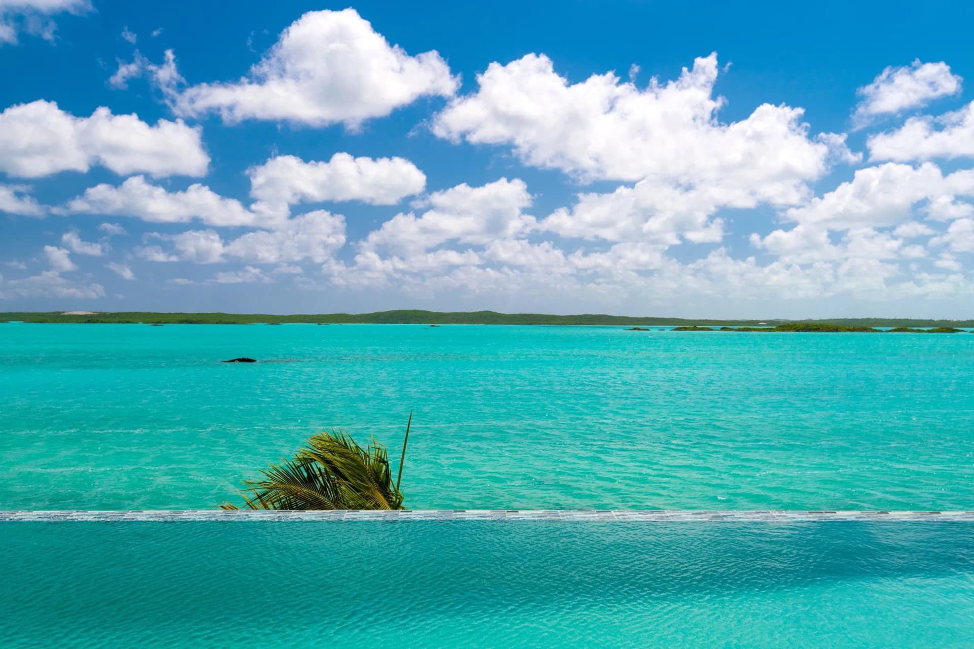 Caicos Cays, 341 Chalk Sound Drive - photo 22