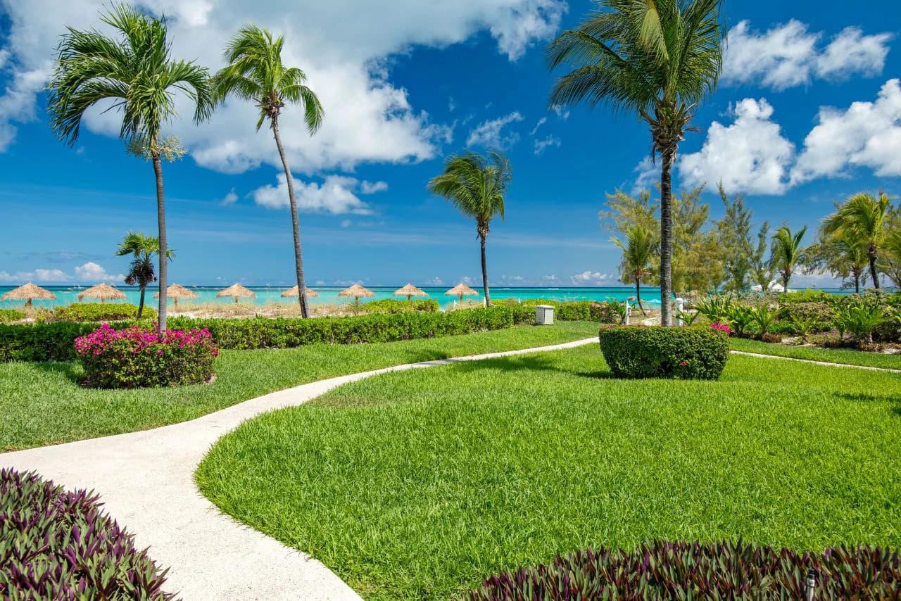 3115 - The Sands At Grace Bay - photo 30