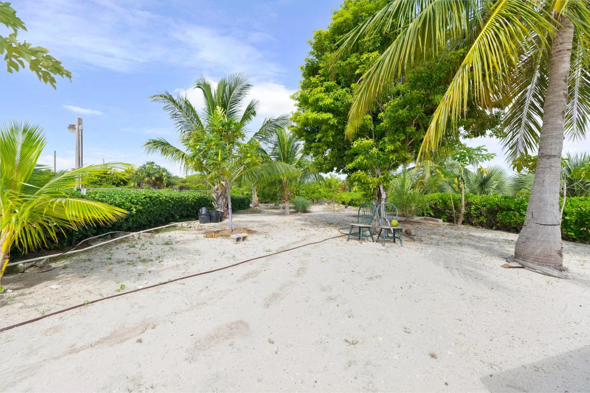 VILLA ROSE - photo 25