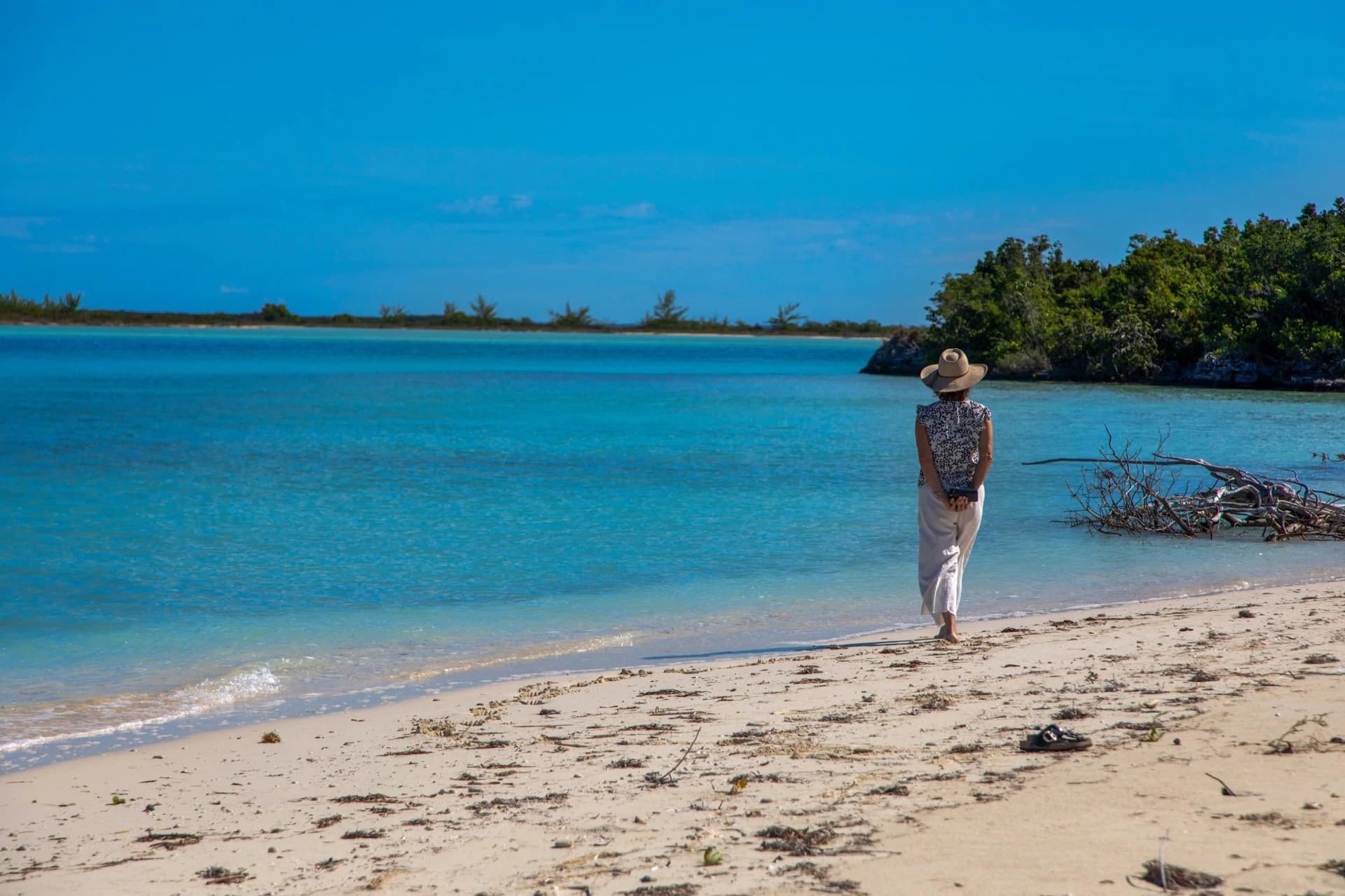 Barracuda Point, Pine Cay - photo 43