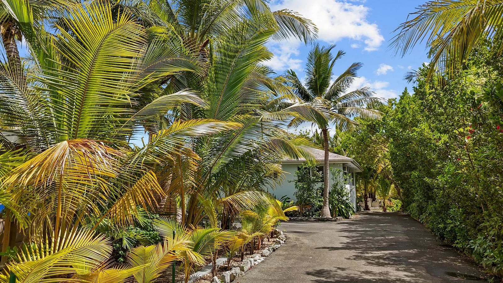 Perfect Leeward Turnkey Property - photo 36