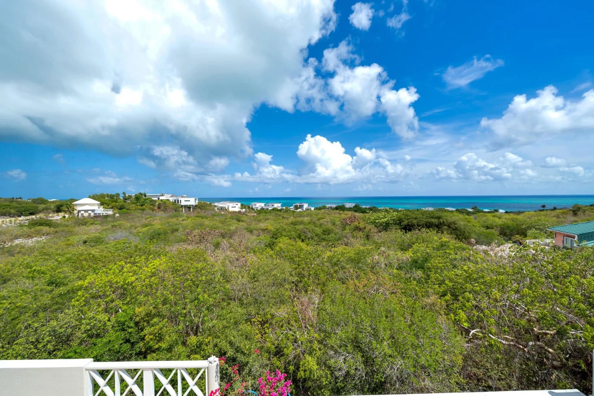 Caicos Blue Villa - photo 30