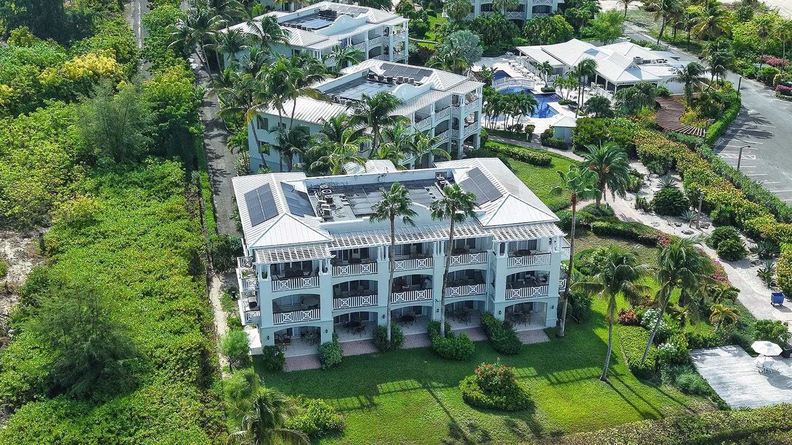 131 Royal West Indies - photo 3