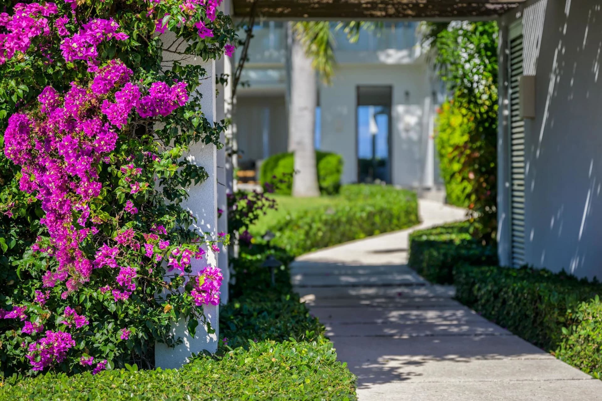 Beach Enclave Grace Bay - Villa 2 - photo 45